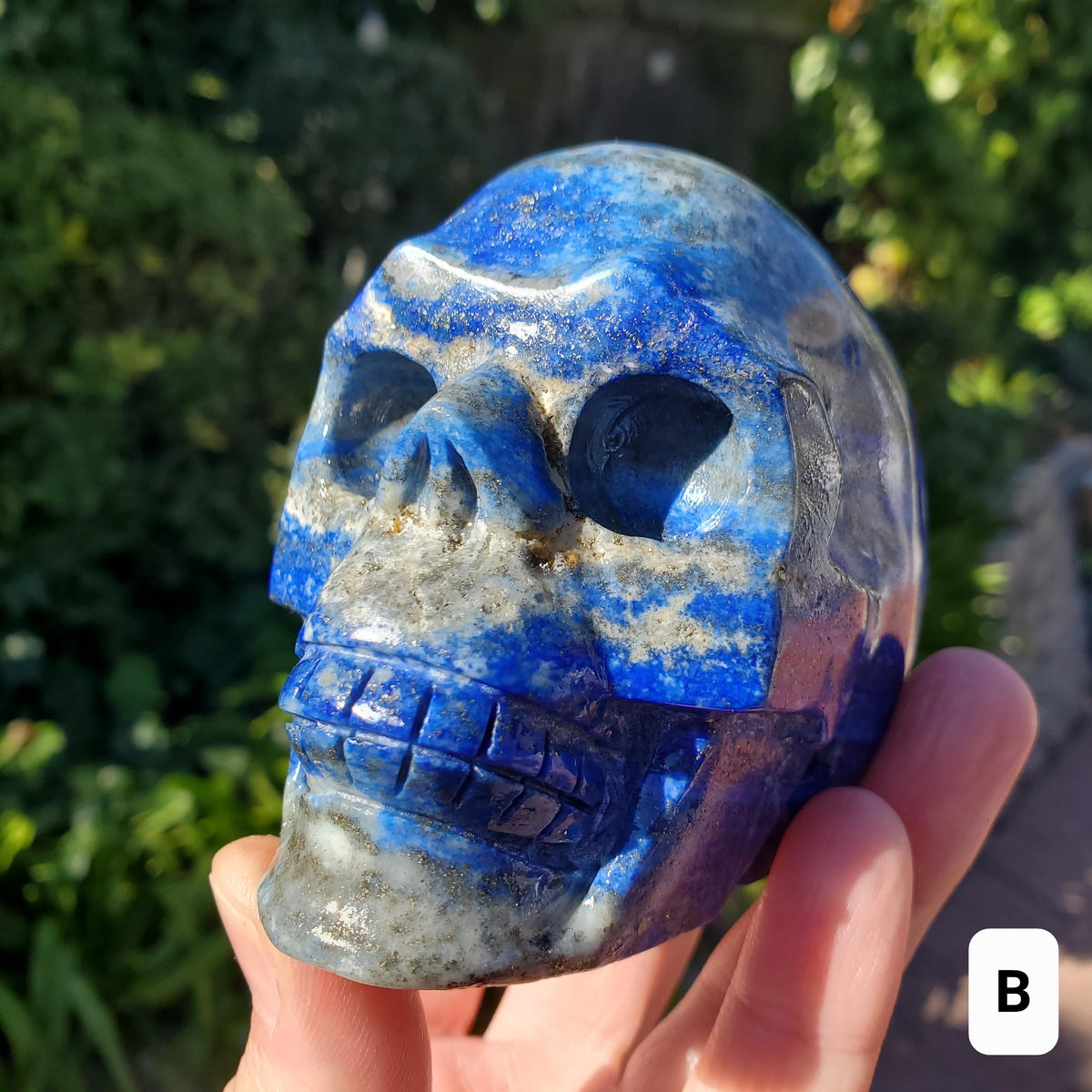 Lapis Lazuli Skull - Speak Your Truth, Communication - Lapiz Lazuli Carved Skull Stone Healing Crystal Gemstone Statement