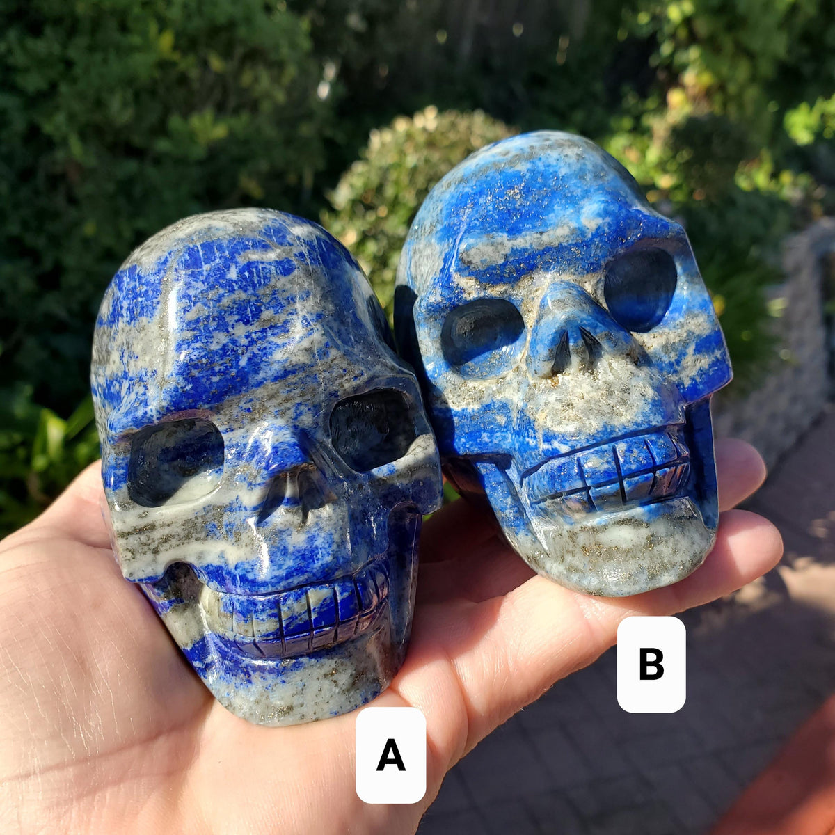 Lapis Lazuli Skull - Speak Your Truth, Communication - Lapiz Lazuli Carved Skull Stone Healing Crystal Gemstone Statement