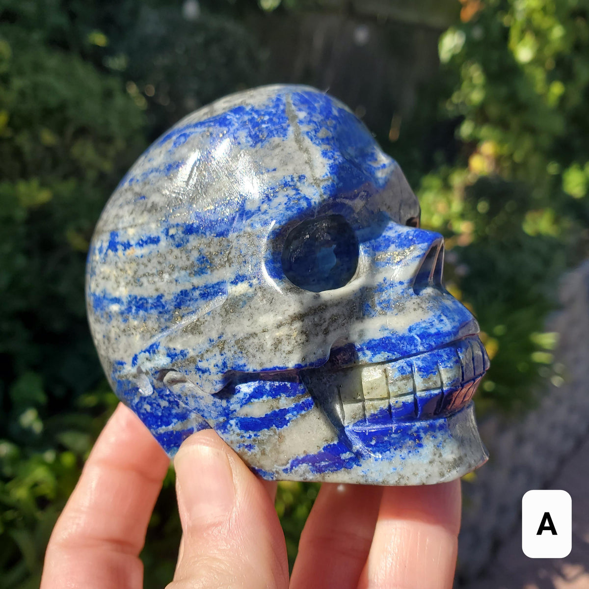 Lapis Lazuli Skull - Speak Your Truth, Communication - Lapiz Lazuli Carved Skull Stone Healing Crystal Gemstone Statement