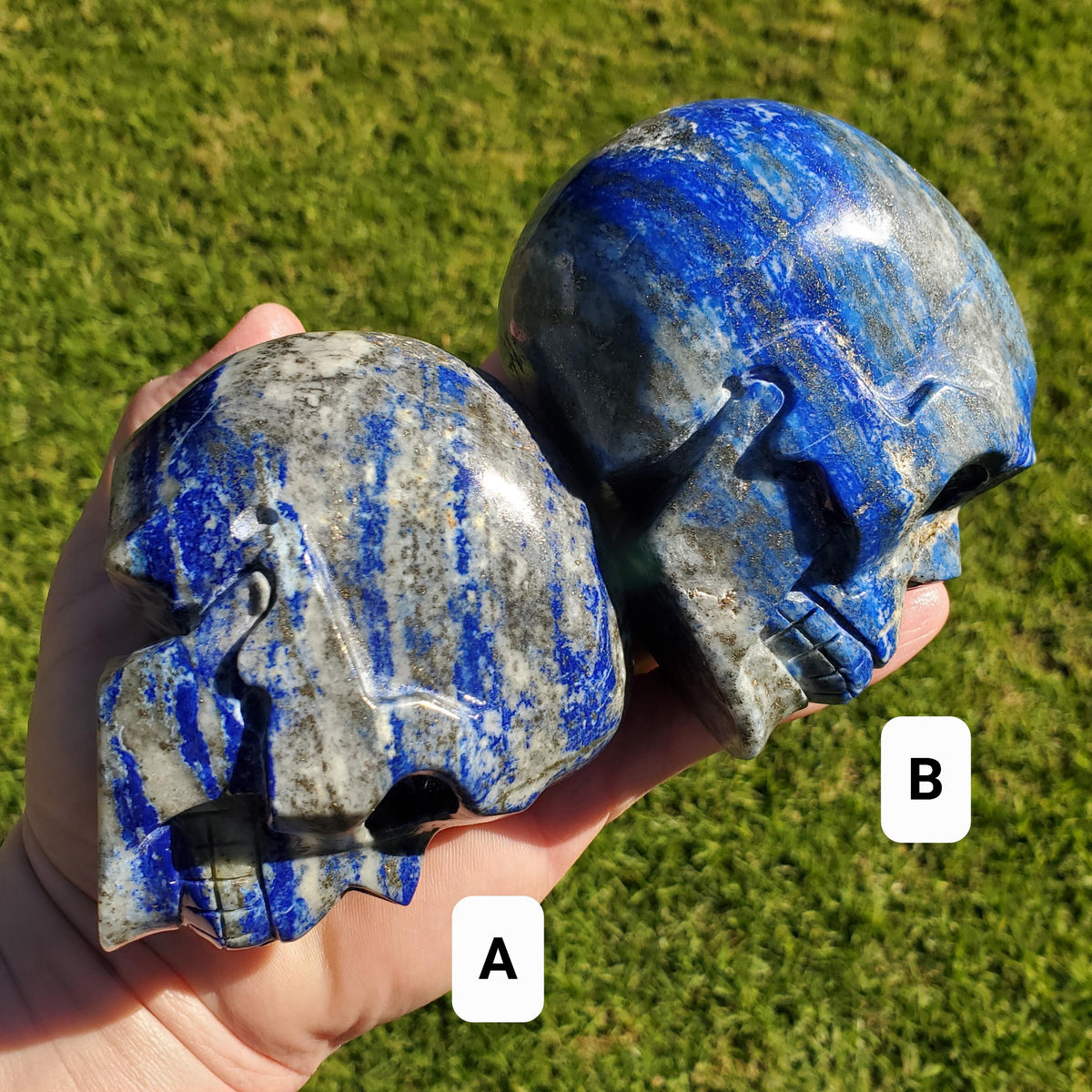 Lapis Lazuli Skull - Speak Your Truth, Communication - Lapiz Lazuli Carved Skull Stone Healing Crystal Gemstone Statement