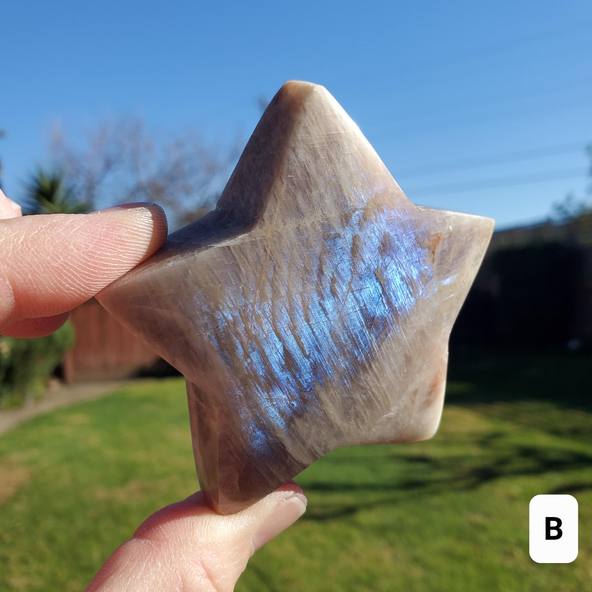 Flashy Moonstone Star - Uplifting, Raises Vibration, Feminine Energy, Empowering - Standing Blue Flash Crystal Star Gemstone Cute Decor