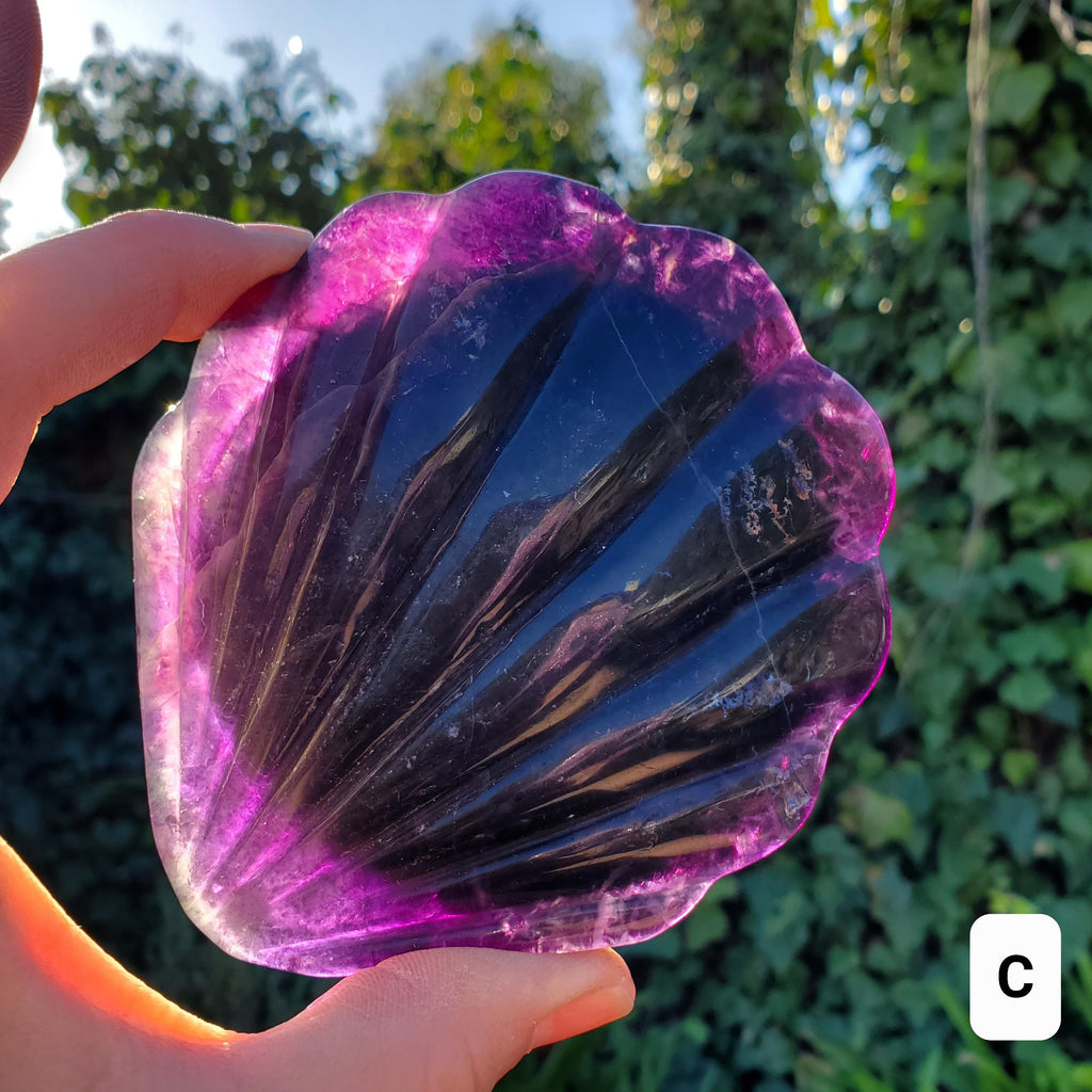 Rainbow Fluorite Seashell Mirror - Mental Concentration, Energetic Protection, Positivity - Fluorite Crystal Seashell Mirror Vanity Decor
