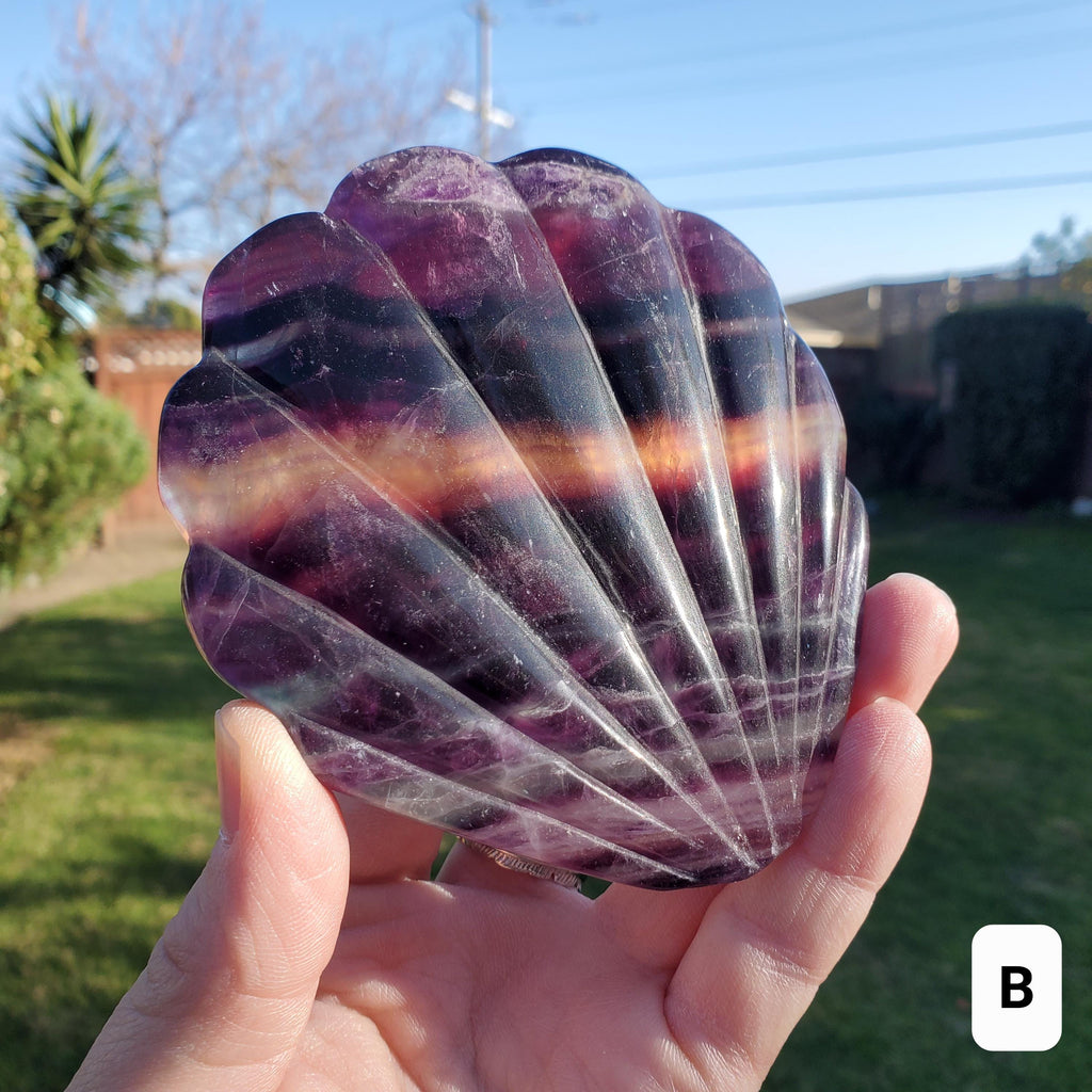 Rainbow Fluorite Seashell Mirror - Mental Concentration, Energetic Protection, Positivity - Fluorite Crystal Seashell Mirror Vanity Decor