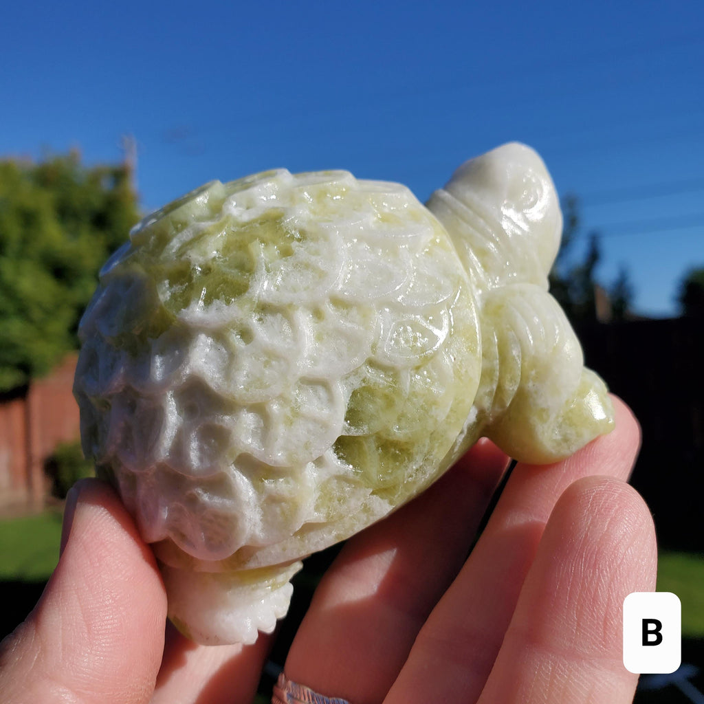 Chunky Lantian Jade Turtle with Feng Shui Coin Design - Love, Emotional Balance, Energetic Protection - White and Green Crystal Turtle