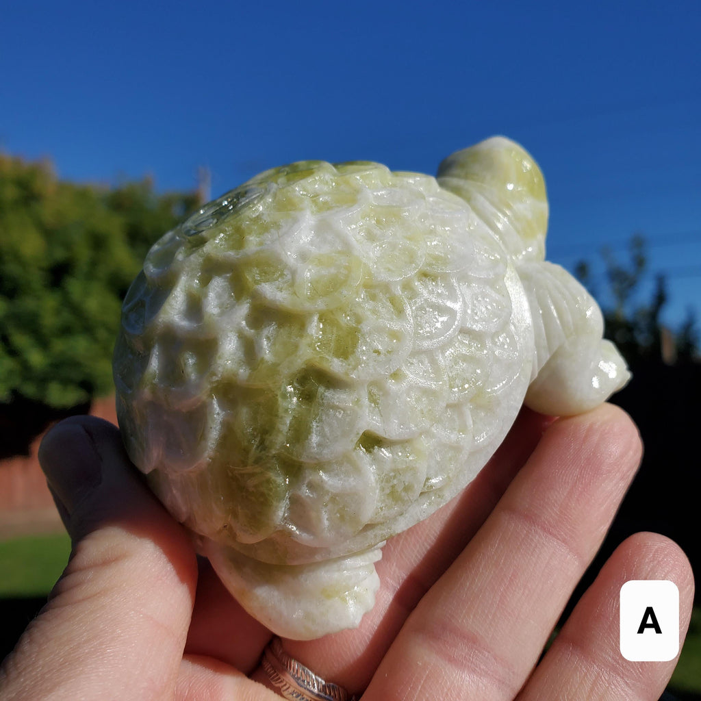 Chunky Lantian Jade Turtle with Feng Shui Coin Design - Love, Emotional Balance, Energetic Protection - White and Green Crystal Turtle
