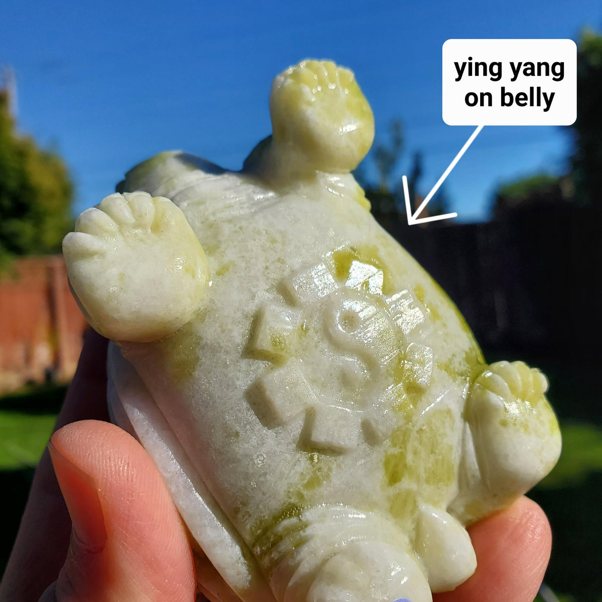 Chunky Lantian Jade Turtle with Feng Shui Coin Design - Love, Emotional Balance, Energetic Protection - White and Green Crystal Turtle