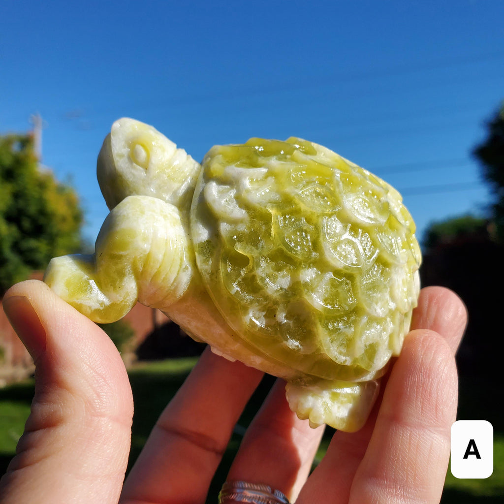 Chunky Lantian Jade Turtle with Feng Shui Coin Design - Love, Emotional Balance, Energetic Protection - White and Green Crystal Turtle