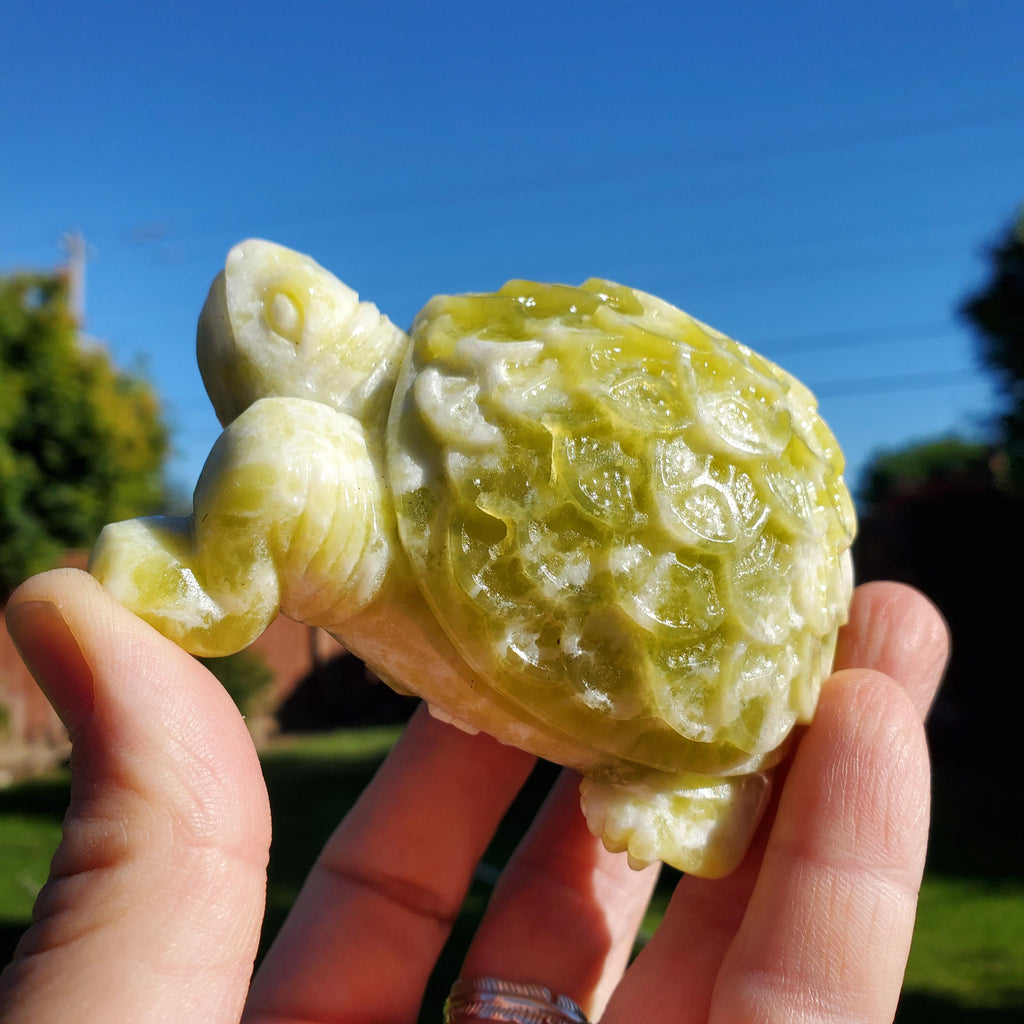 Chunky Lantian Jade Turtle with Feng Shui Coin Design - Love, Emotional Balance, Energetic Protection - White and Green Crystal Turtle