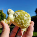 Chunky Lantian Jade Turtle with Feng Shui Coin Design - Love, Emotional Balance, Energetic Protection - White and Green Crystal Turtle