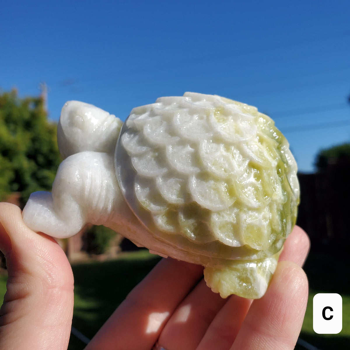 Chunky Lantian Jade Turtle with Feng Shui Coin Design - Love, Emotional Balance, Energetic Protection - White and Green Crystal Turtle