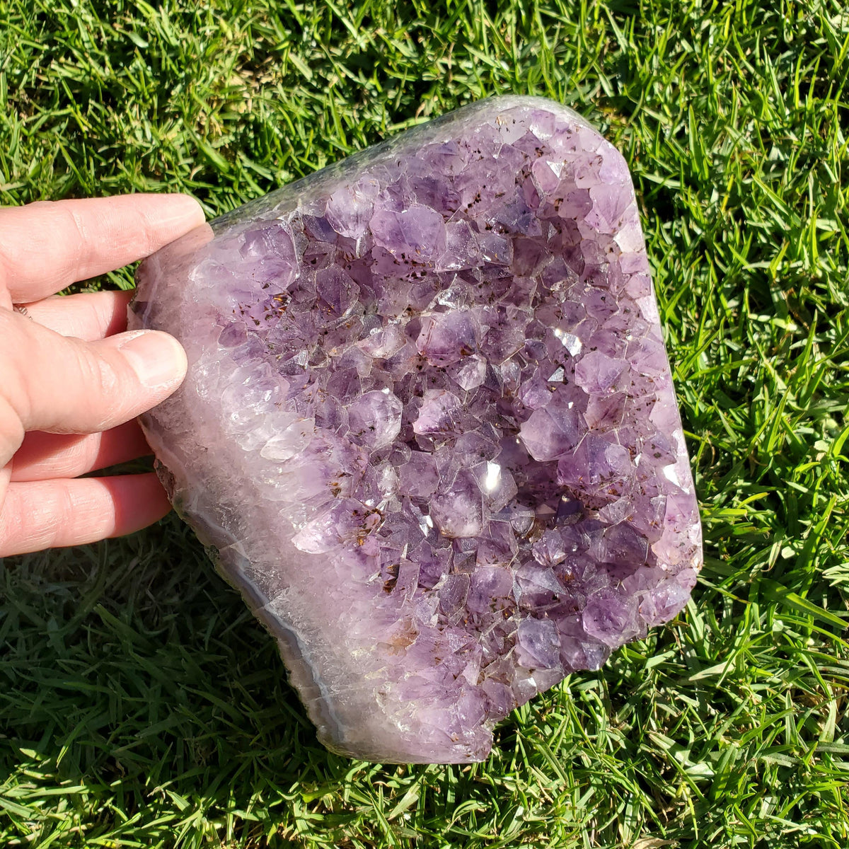 Big 7lb Amethyst Geode with Golden Rutile - Calming, Cleanses Body & Aura, Stress Relief, Positivity - Purple Crystal Cluster Gemstone