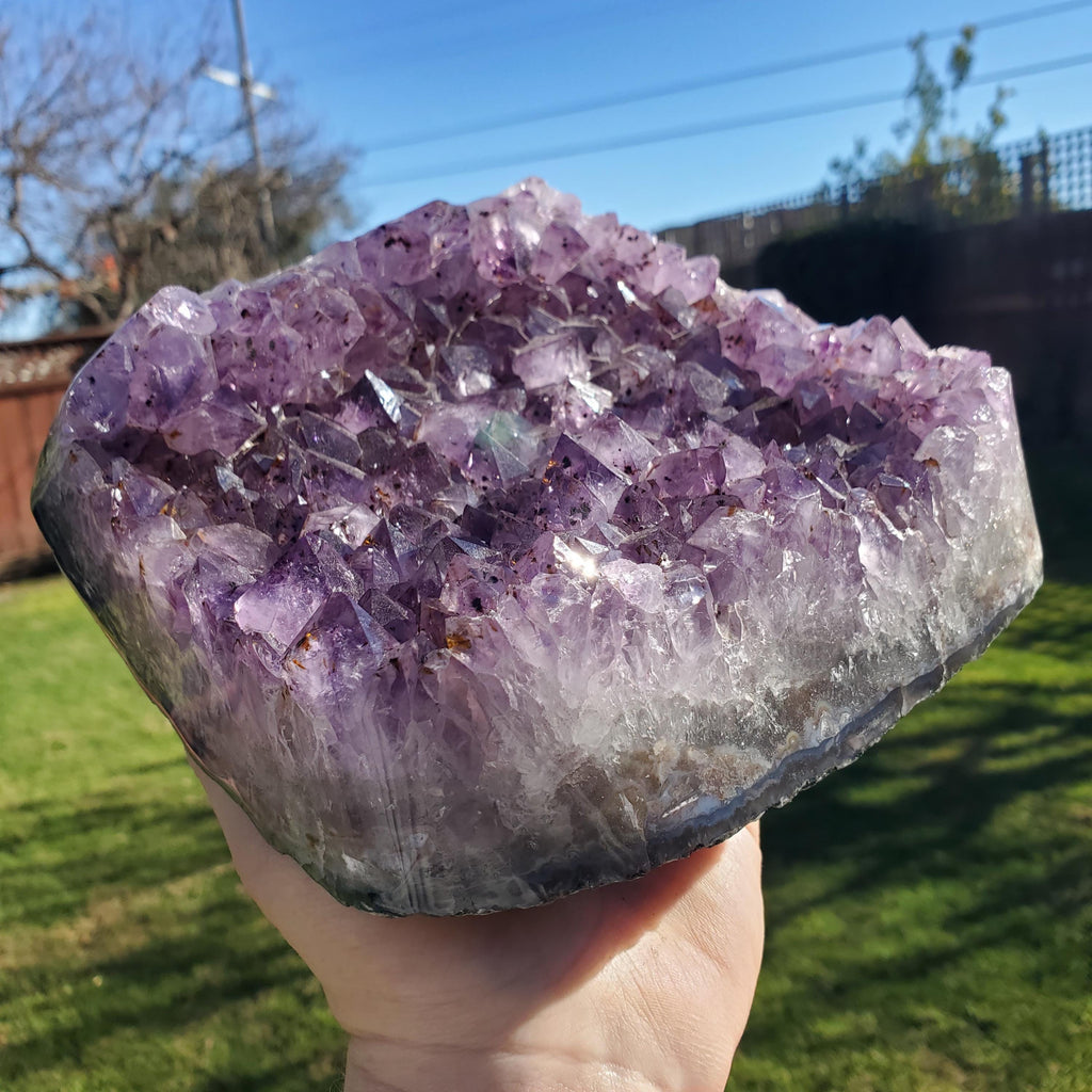 Big 7lb Amethyst Geode with Golden Rutile - Calming, Cleanses Body & Aura, Stress Relief, Positivity - Purple Crystal Cluster Gemstone
