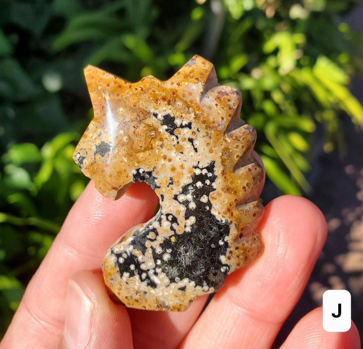 Small Petrified Palm Root Unicorn Carving - Calming, Cleansing, Positive Energy - Unicorn Crystal Stone Healing Crystals Gemstones