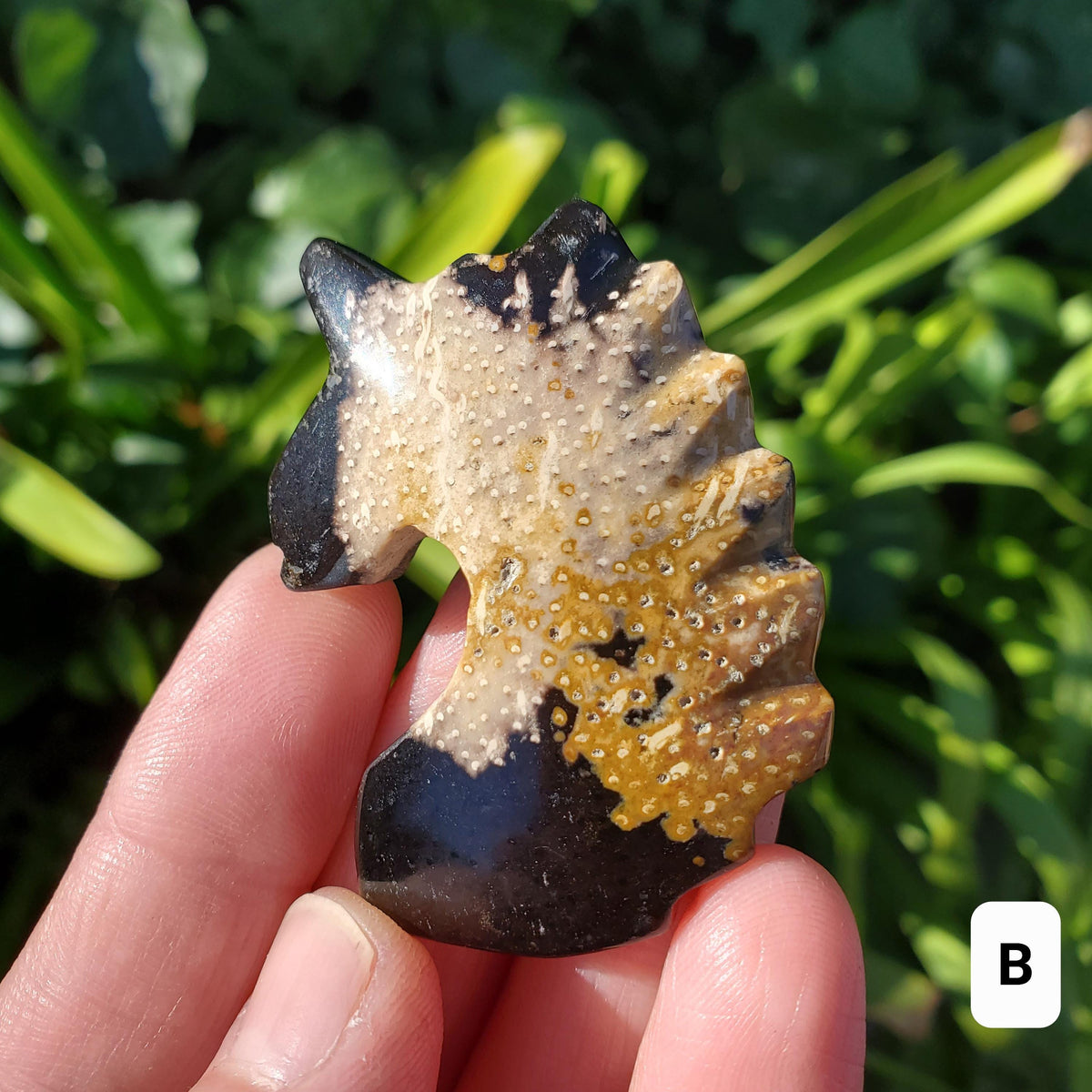 Small Petrified Palm Root Unicorn Carving - Calming, Cleansing, Positive Energy - Unicorn Crystal Stone Healing Crystals Gemstones