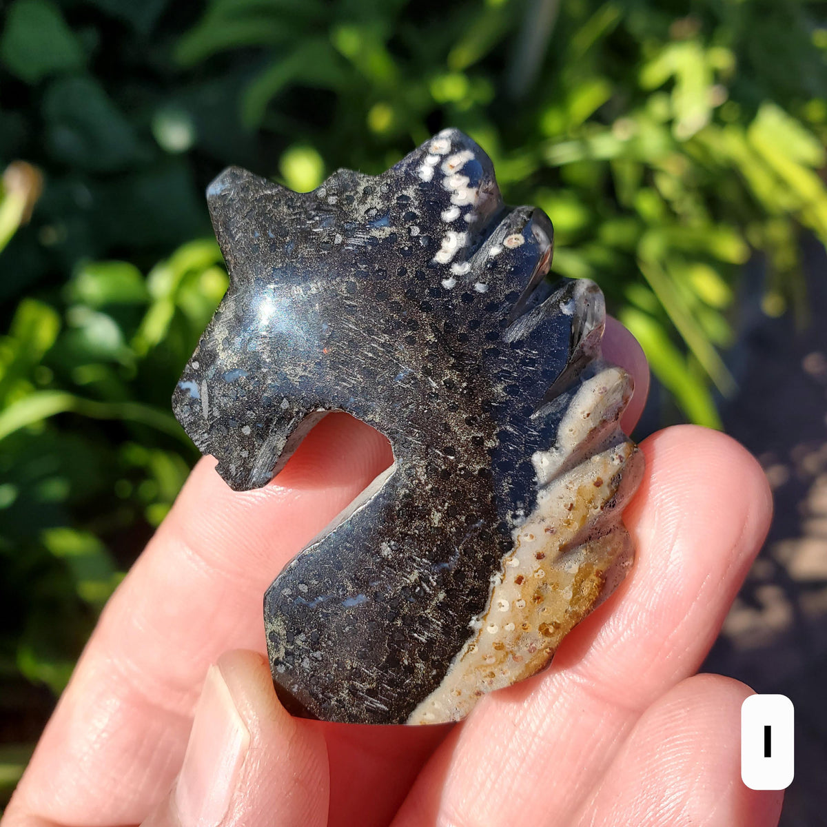 Small Petrified Palm Root Unicorn Carving - Calming, Cleansing, Positive Energy - Unicorn Crystal Stone Healing Crystals Gemstones