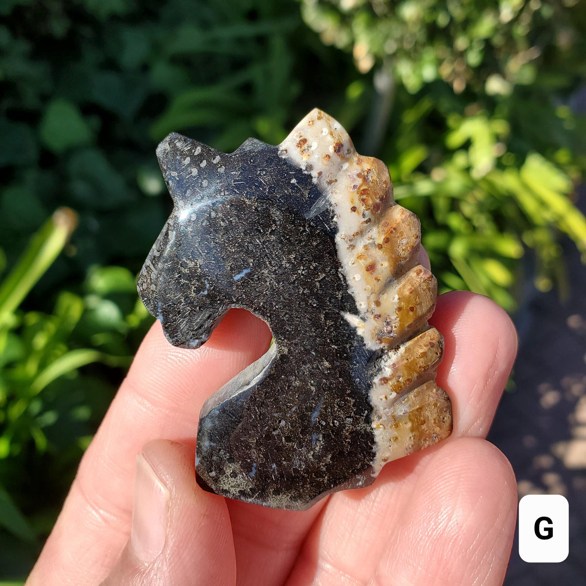 Small Petrified Palm Root Unicorn Carving - Calming, Cleansing, Positive Energy - Unicorn Crystal Stone Healing Crystals Gemstones