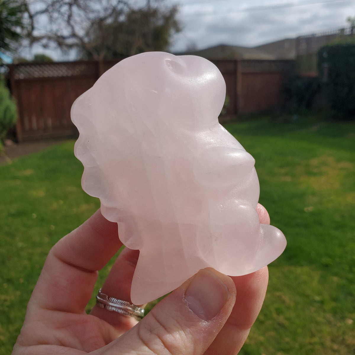 Chubby Rose Quartz Baby Dinosaur - Unconditional Love, Compassion, Self Love - 3.15" tall Pink Crystal Dino Carving Healing Crystal Raptor