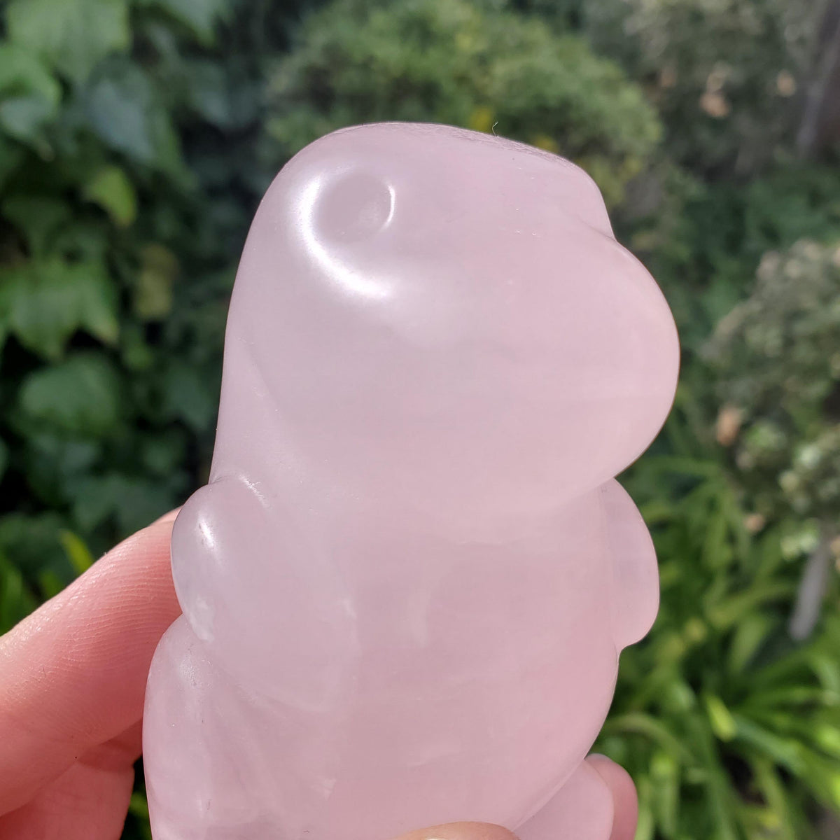 Chubby Rose Quartz Baby Dinosaur - Unconditional Love, Compassion, Self Love - 3.15" tall Pink Crystal Dino Carving Healing Crystal Raptor