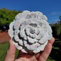 Big Aura Howlite Flower - Calm, Confidence, Emotional Healing, Grounding - Howlite Crystal Flower Healing Gemstone