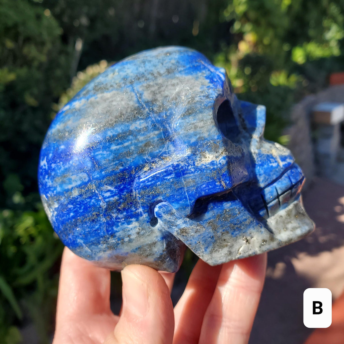 Lapis Lazuli Skull - Speak Your Truth, Communication - Lapiz Lazuli Carved Skull Stone Healing Crystal Gemstone Statement