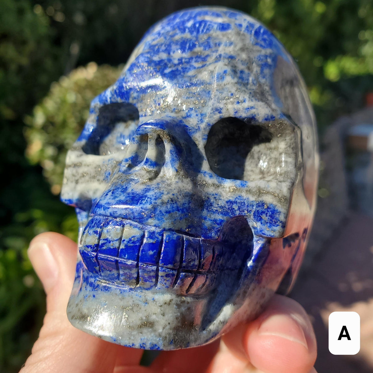 Lapis Lazuli Skull - Speak Your Truth, Communication - Lapiz Lazuli Carved Skull Stone Healing Crystal Gemstone Statement
