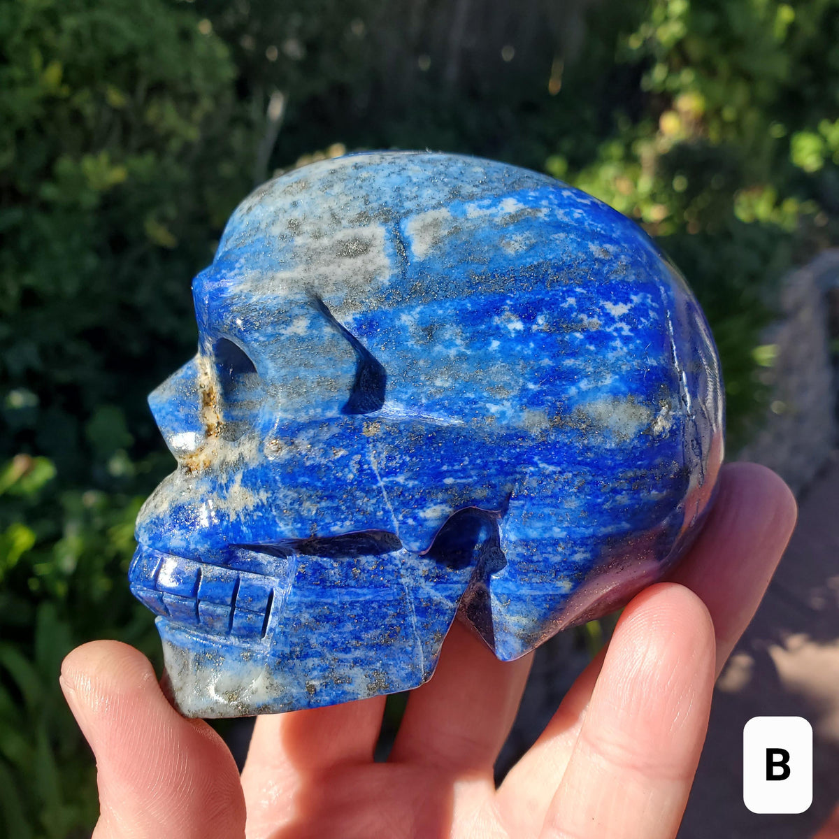 Lapis Lazuli Skull - Speak Your Truth, Communication - Lapiz Lazuli Carved Skull Stone Healing Crystal Gemstone Statement