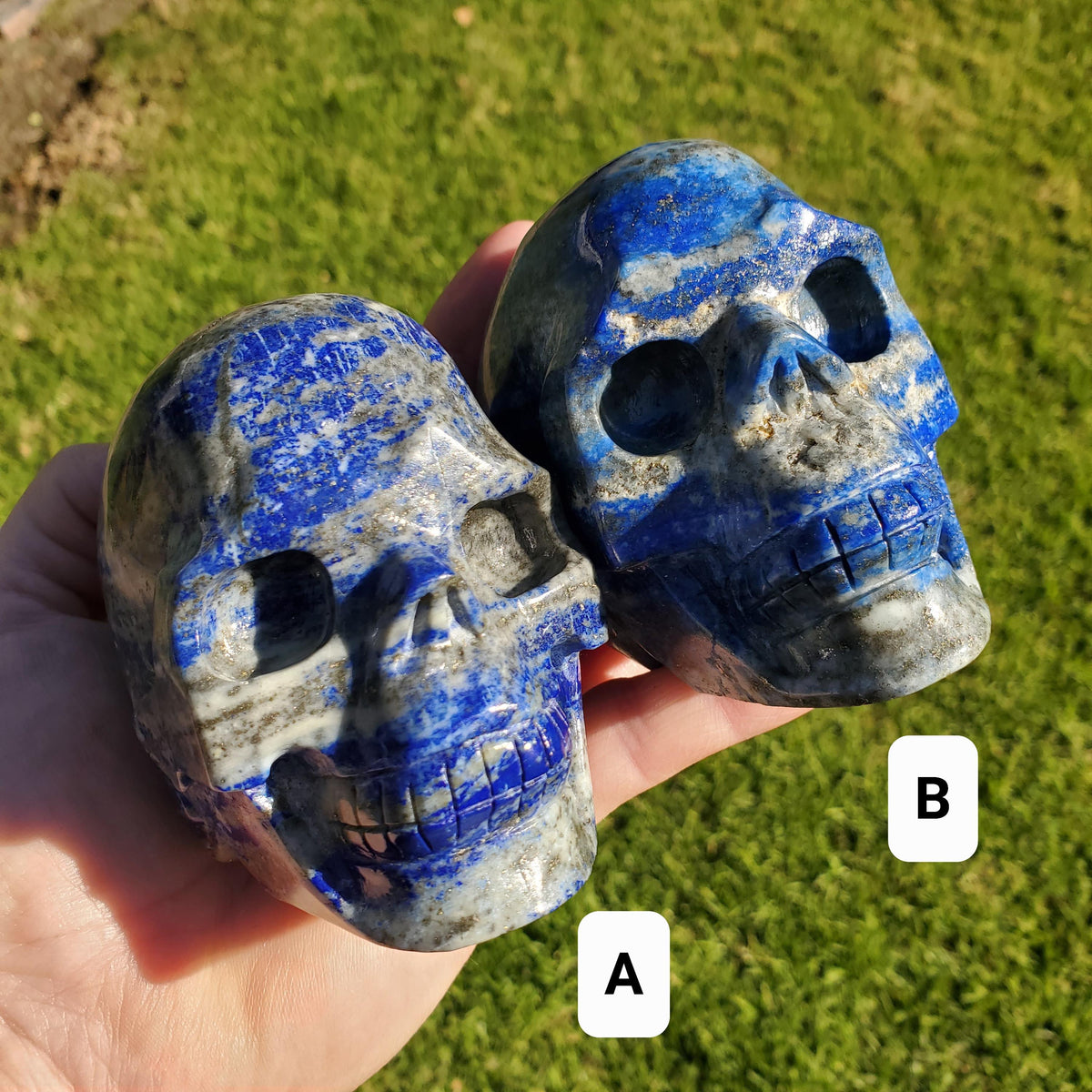 Lapis Lazuli Skull - Speak Your Truth, Communication - Lapiz Lazuli Carved Skull Stone Healing Crystal Gemstone Statement