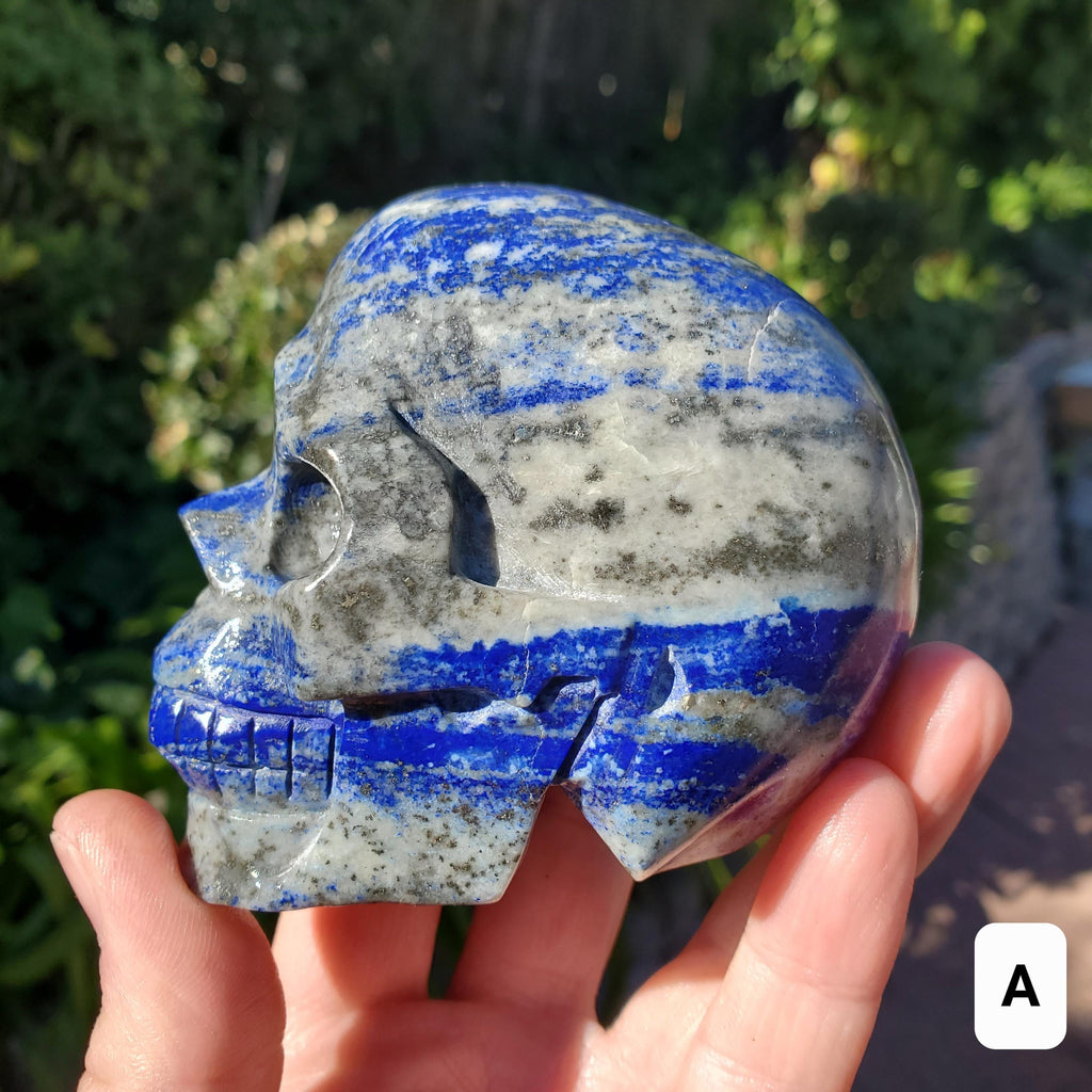 Lapis Lazuli Skull - Speak Your Truth, Communication - Lapiz Lazuli Carved Skull Stone Healing Crystal Gemstone Statement