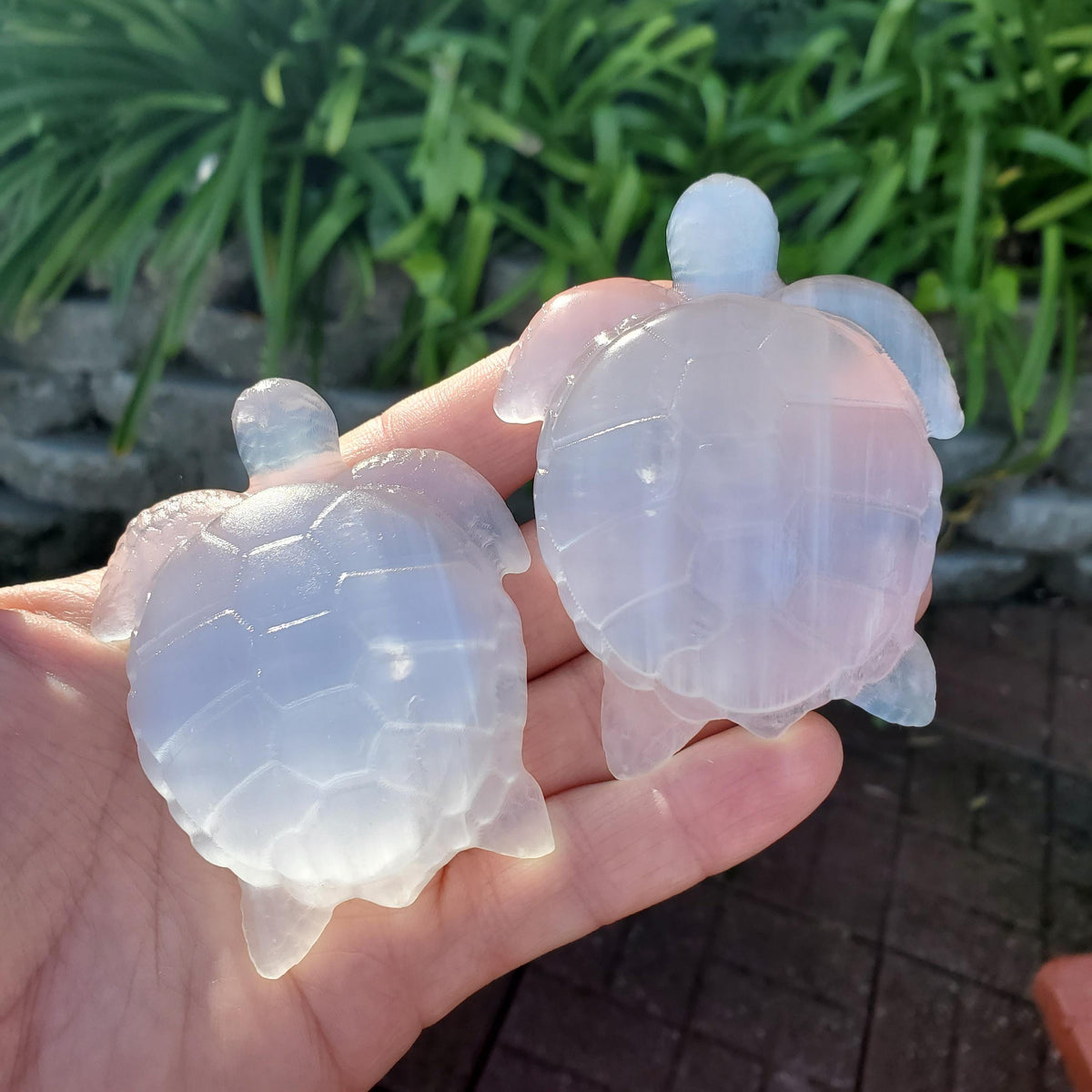 Cute Selenite Turtle - Tranquility, Blessings, Love & Light - Satin Spar Selenite Carved Turtle Healing Stone Crystals