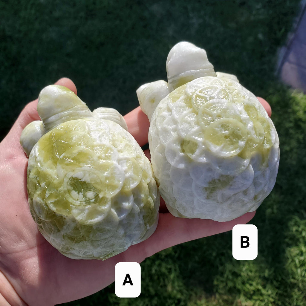 Chunky Lantian Jade Turtle with Feng Shui Coin Design - Love, Emotional Balance, Energetic Protection - White and Green Crystal Turtle
