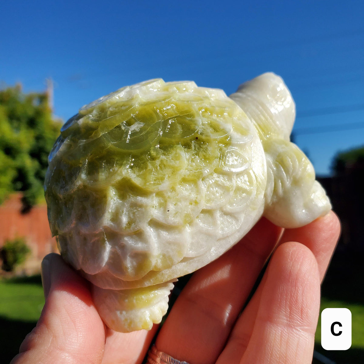 Chunky Lantian Jade Turtle with Feng Shui Coin Design - Love, Emotional Balance, Energetic Protection - White and Green Crystal Turtle