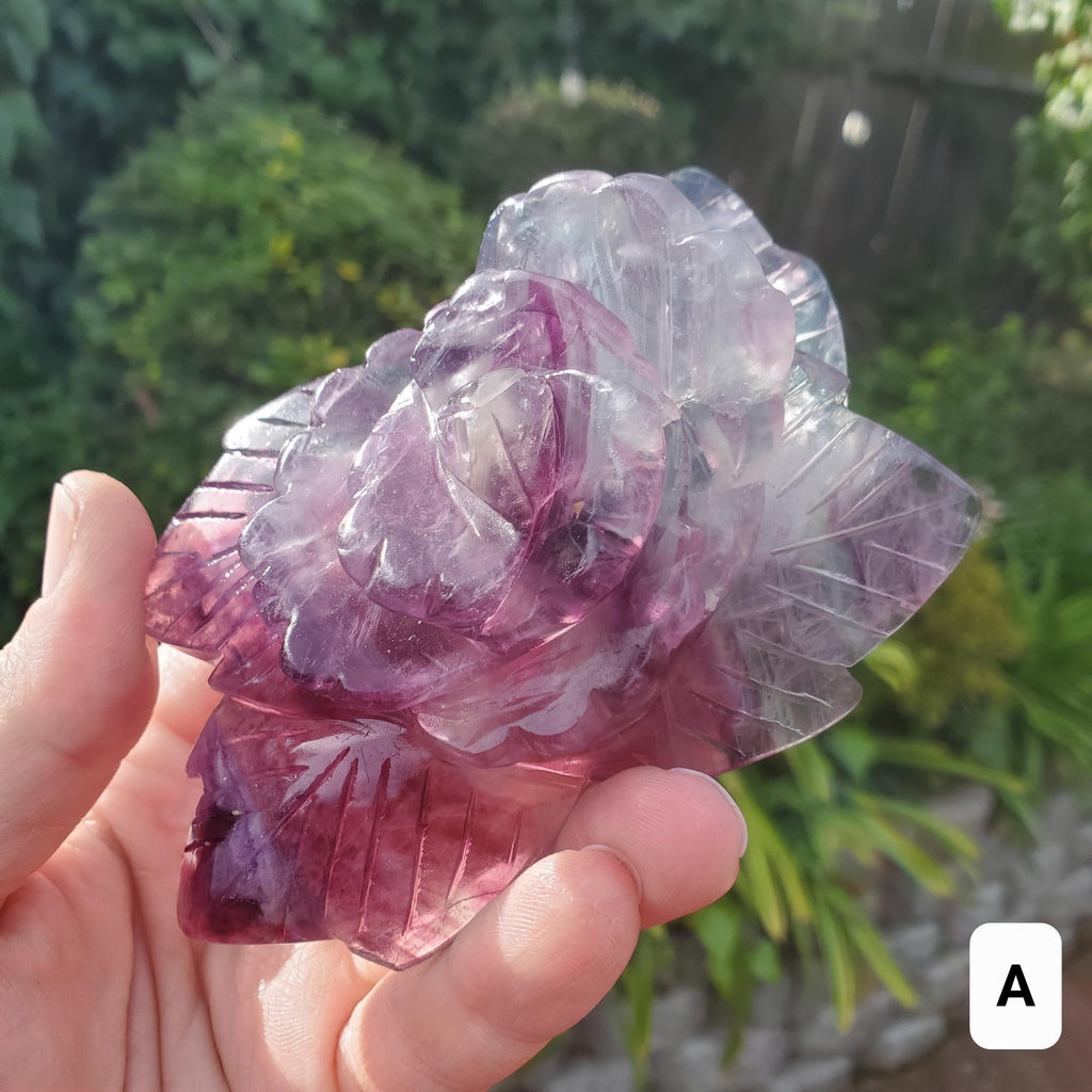 Beautiful Rainbow Fluorite Rose - Mental Clarity, Stability, Concentration, Protection - Fluorite Healing Crystals Gemstone Statement