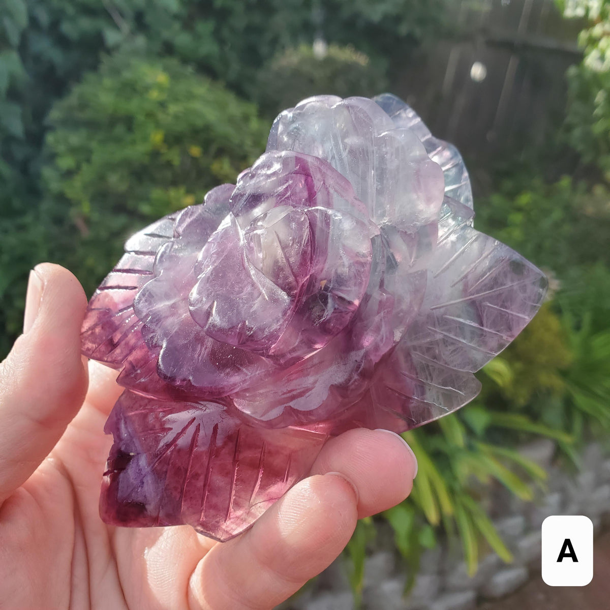 Beautiful Rainbow Fluorite Rose - Mental Clarity, Stability, Concentration, Protection - Fluorite Healing Crystals Gemstone Statement