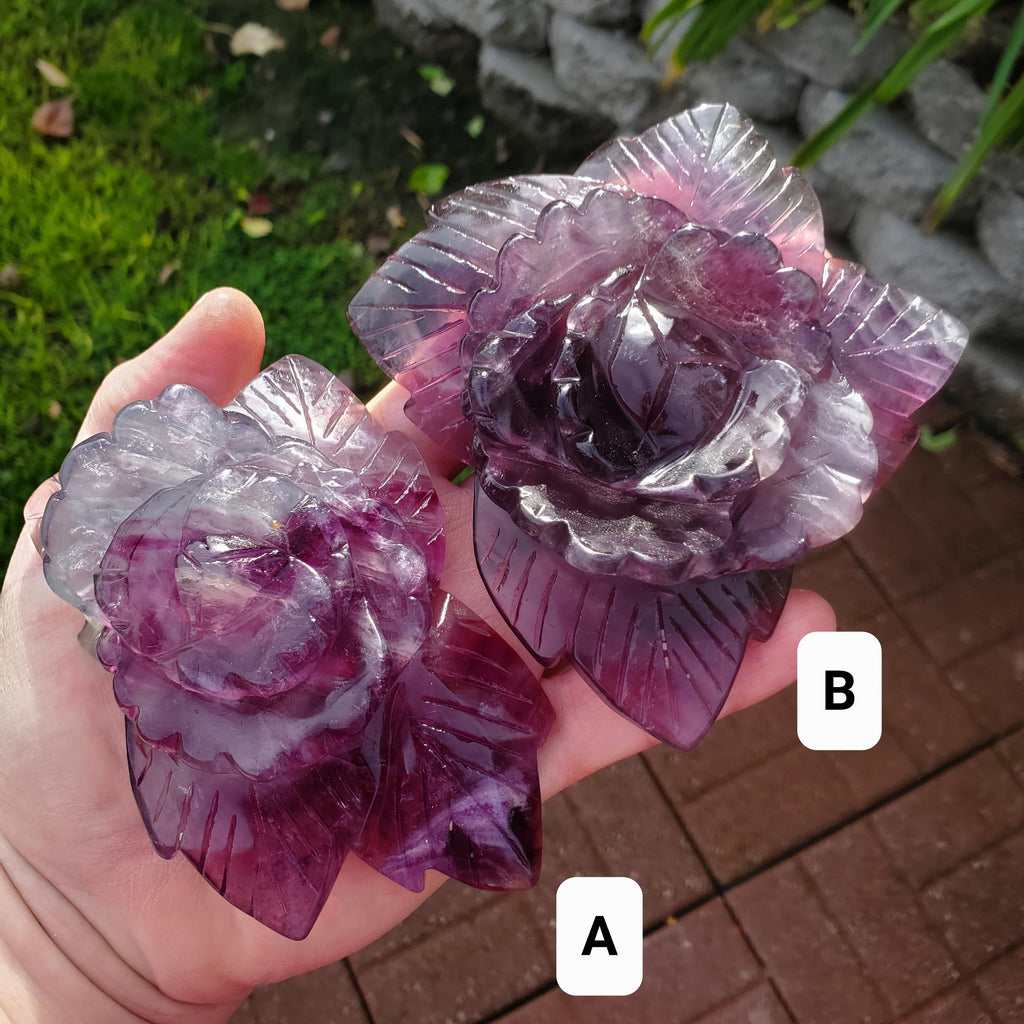 Beautiful Rainbow Fluorite Rose - Mental Clarity, Stability, Concentration, Protection - Fluorite Healing Crystals Gemstone Statement
