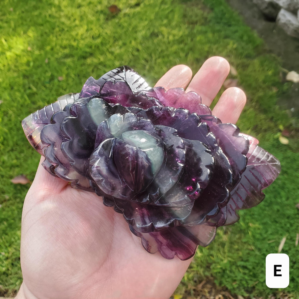 Beautiful Rainbow Fluorite Rose - Mental Clarity, Stability, Concentration, Protection - Fluorite Healing Crystals Gemstone Statement
