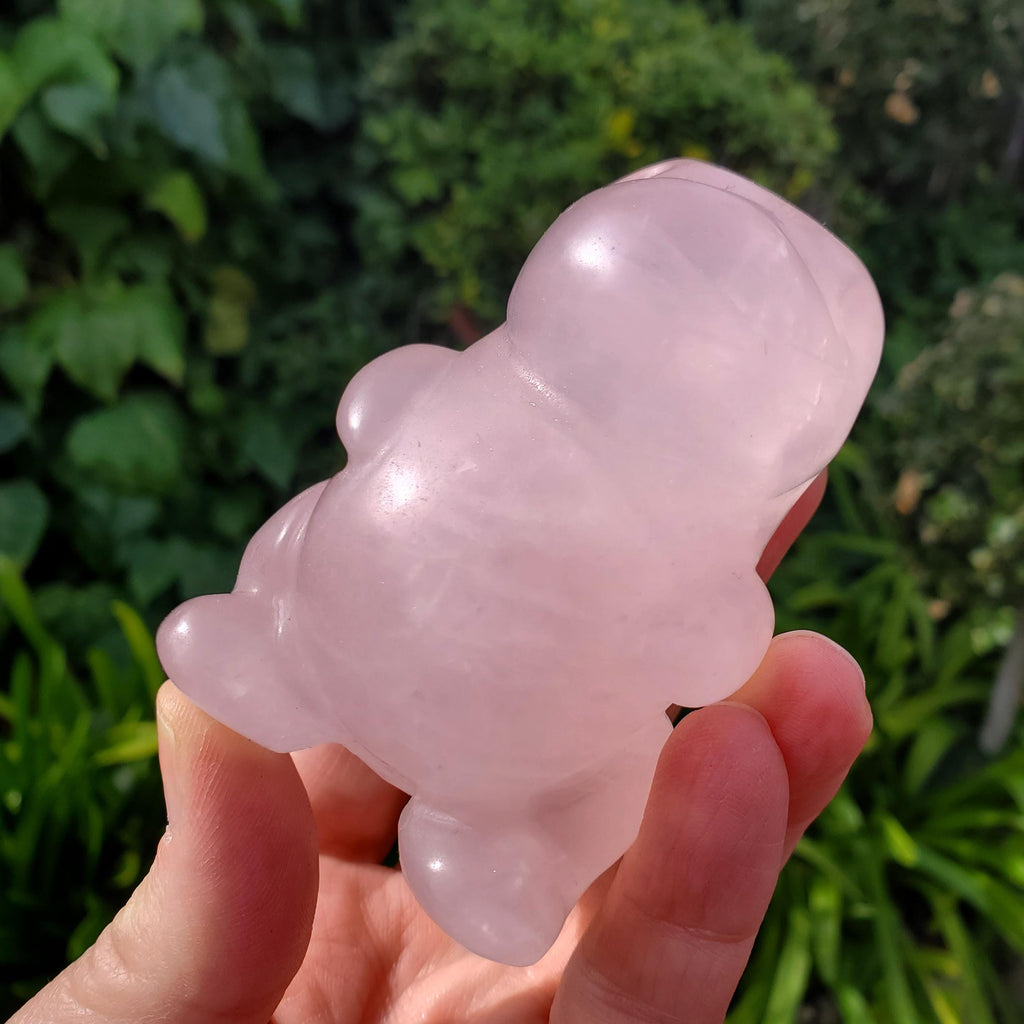 Chubby Rose Quartz Baby Dinosaur - Unconditional Love, Compassion, Self Love - 3.15" tall Pink Crystal Dino Carving Healing Crystal Raptor