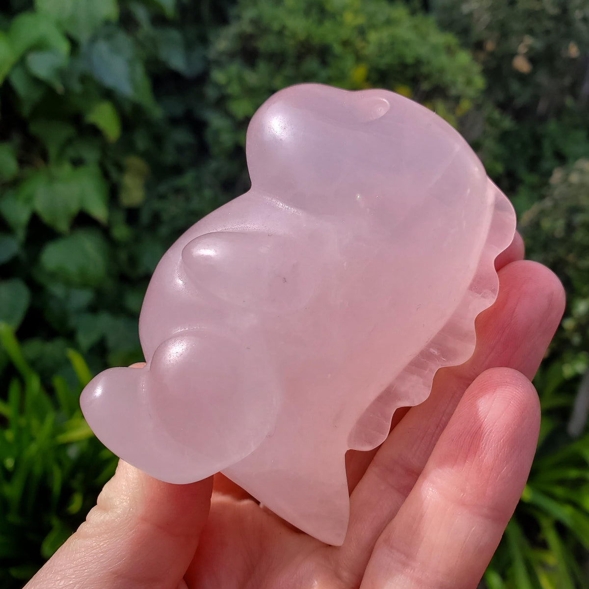 Chubby Rose Quartz Baby Dinosaur - Unconditional Love, Compassion, Self Love - 3.15" tall Pink Crystal Dino Carving Healing Crystal Raptor