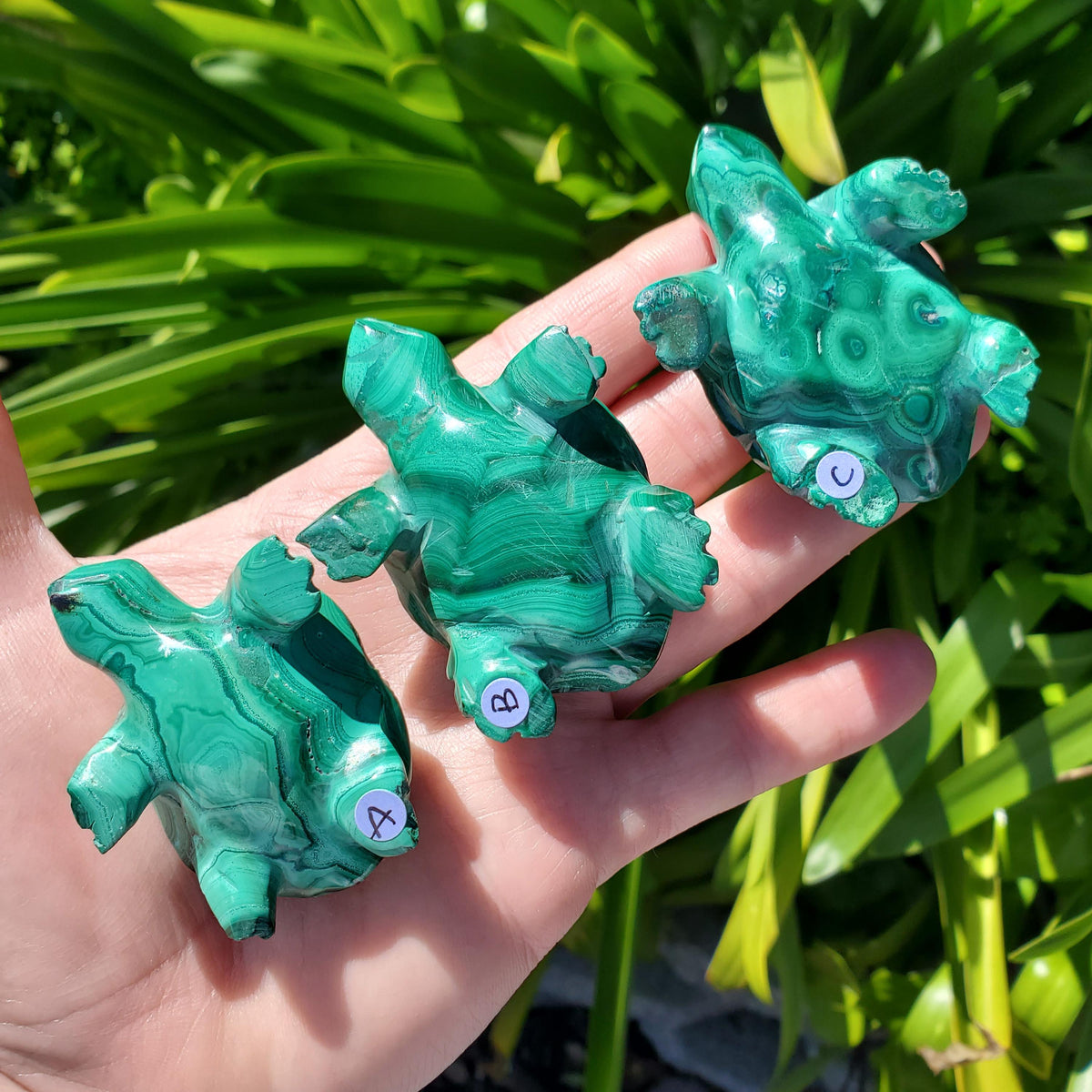 Malachite Turtle - Protection, Blocks EMF, Absorbs Negativity, Encourages Positive Change - Crystal Turtle Carving Healing Gemstone