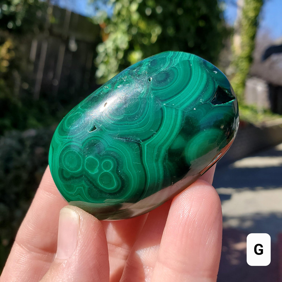 Malachite Palm Stone - Protection, Blocks EMF, Absorbs Negativity, Encourages Positive Change - Handheld Smooth Crystal Round Gemstone