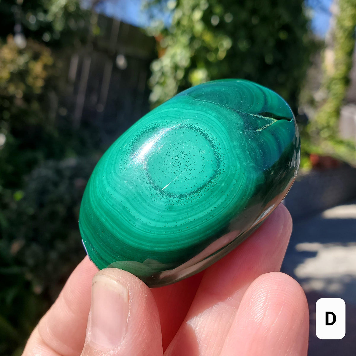 Malachite Palm Stone - Protection, Blocks EMF, Absorbs Negativity, Encourages Positive Change - Handheld Smooth Crystal Round Gemstone