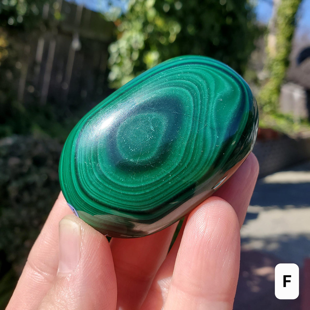 Malachite Palm Stone - Protection, Blocks EMF, Absorbs Negativity, Encourages Positive Change - Handheld Smooth Crystal Round Gemstone