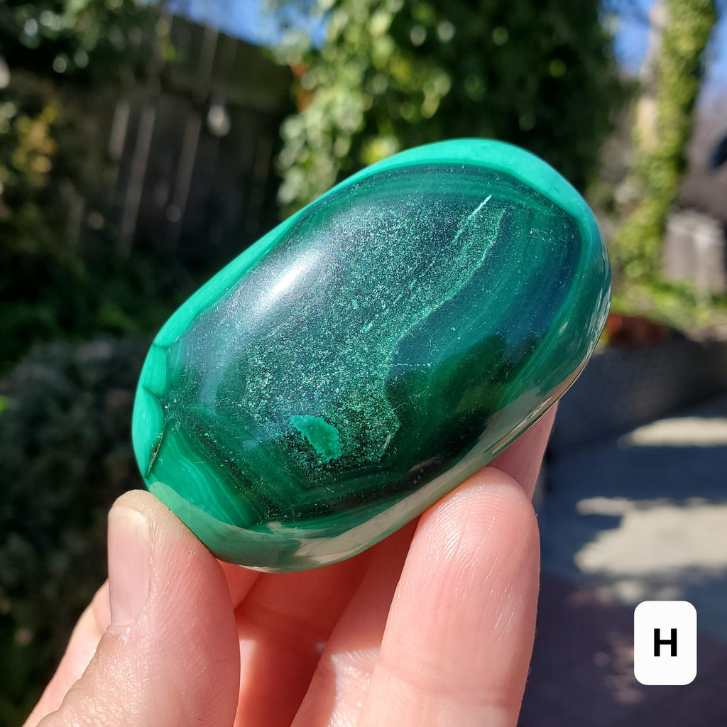 Malachite Palm Stone - Protection, Blocks EMF, Absorbs Negativity, Encourages Positive Change - Handheld Smooth Crystal Round Gemstone