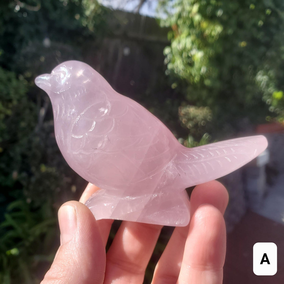 Rose Quartz Bird - Universal & Unconditional Love, Compassion, Kindness - Crystal Bird Carving Healing Gemstone