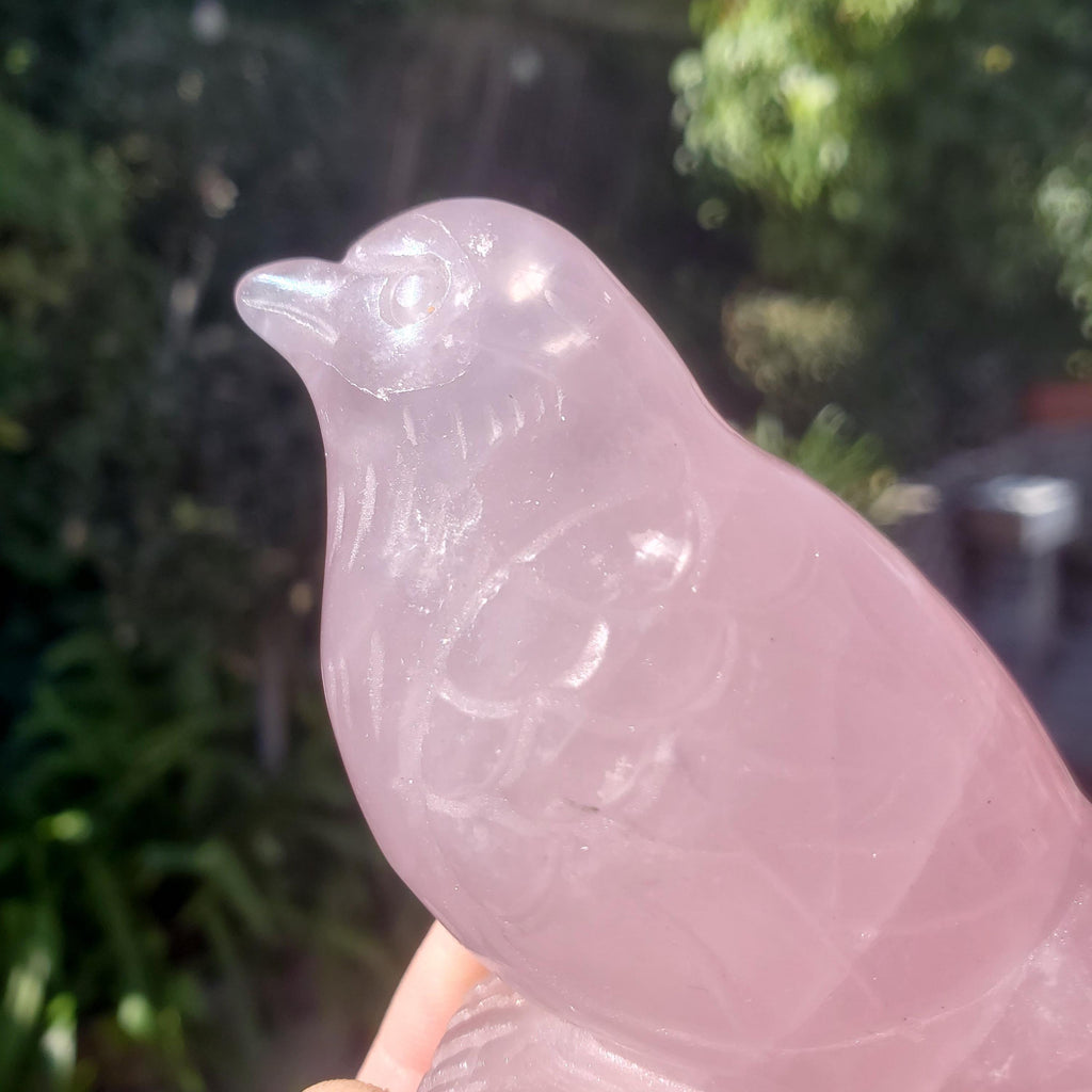 Rose Quartz Bird - Universal & Unconditional Love, Compassion, Kindness - Crystal Bird Carving Healing Gemstone