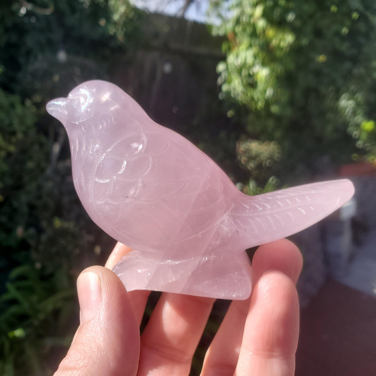 Rose Quartz Bird - Universal & Unconditional Love, Compassion, Kindness - Crystal Bird Carving Healing Gemstone