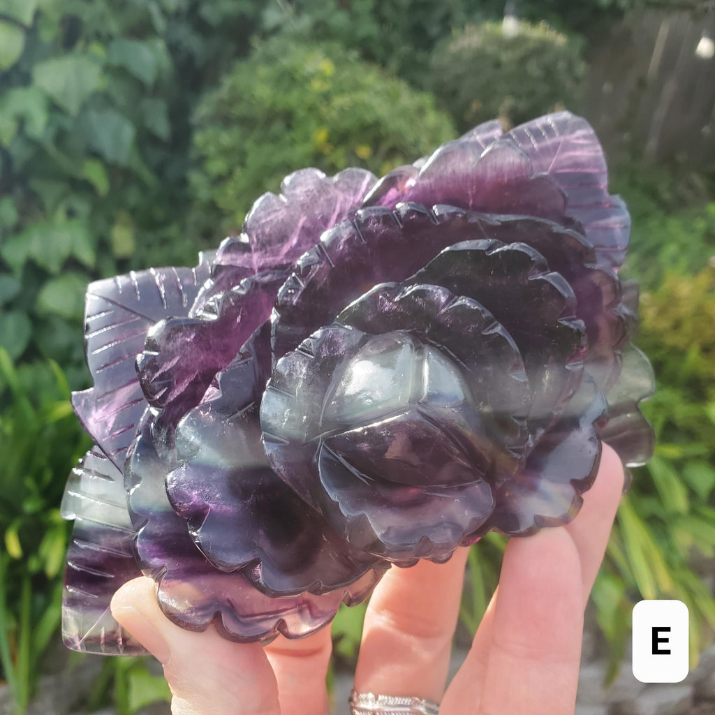 Beautiful Rainbow Fluorite Rose - Mental Clarity, Stability, Concentration, Protection - Fluorite Healing Crystals Gemstone Statement