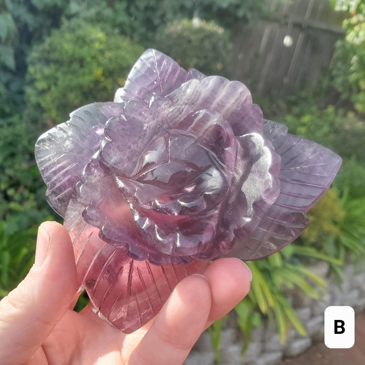 Beautiful Rainbow Fluorite Rose - Mental Clarity, Stability, Concentration, Protection - Fluorite Healing Crystals Gemstone Statement