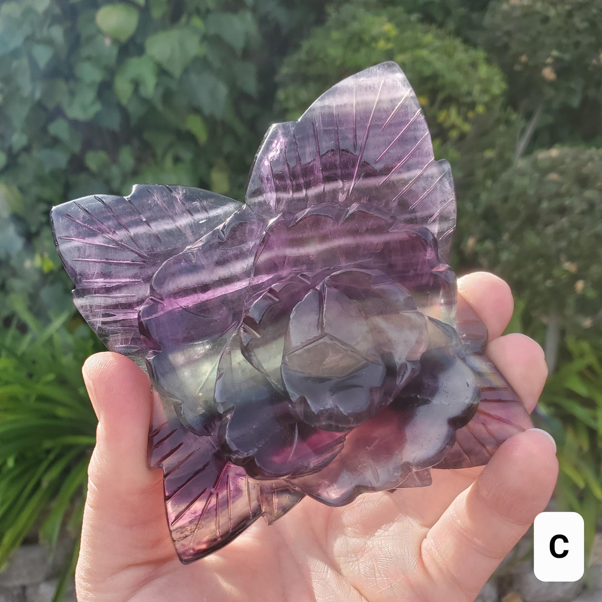 Beautiful Rainbow Fluorite Rose - Mental Clarity, Stability, Concentration, Protection - Fluorite Healing Crystals Gemstone Statement