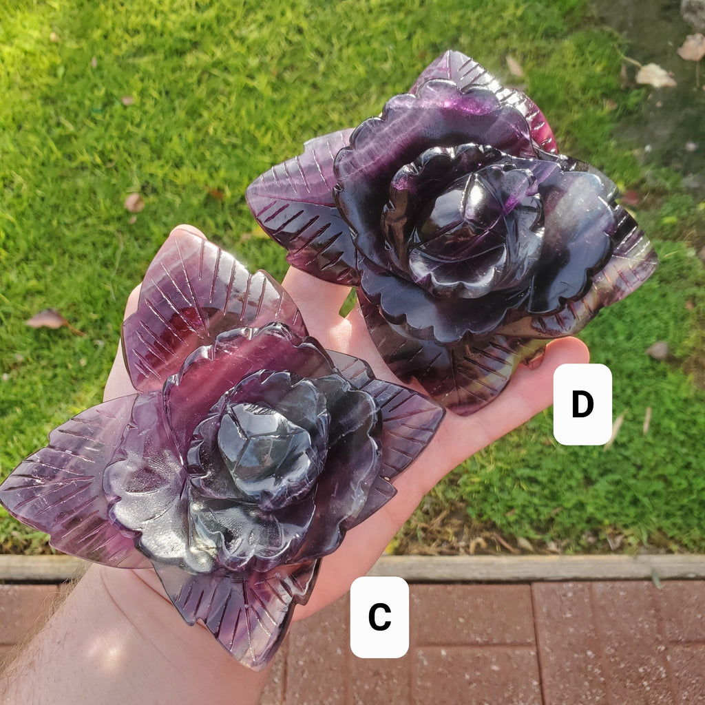 Beautiful Rainbow Fluorite Rose - Mental Clarity, Stability, Concentration, Protection - Fluorite Healing Crystals Gemstone Statement