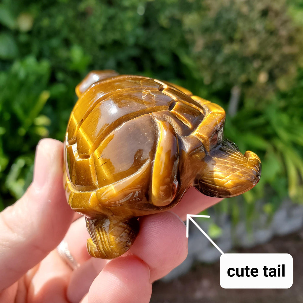 Flashy Tiger Eye Turtle - Courage, Motivation, Confidence, Grounding, Energetic Protection, Energy - Tigers Eye Crystal Healing Gemstones